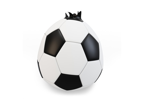 バルブから空気が抜けるサッカーボールは修理をすれば直る